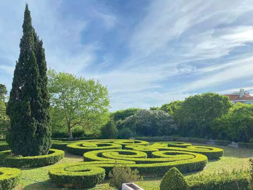 Parterre garden